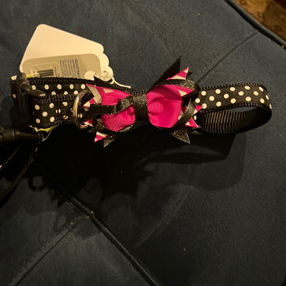 Adjustable Collar